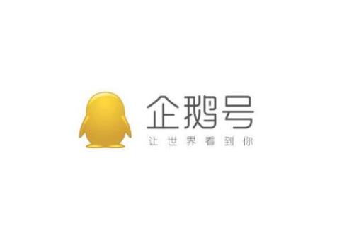 合作伙伴 30